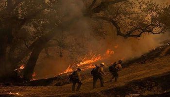 حرائق الغابات في إيران