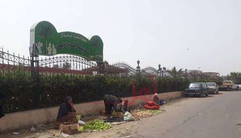 صرخات الجوع في الإسكندرية تعلو على كورونا
