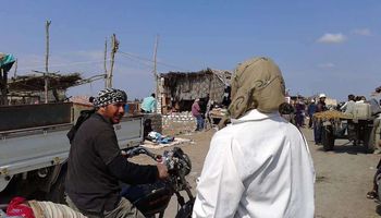 بيطرى بورسعيد ..تحصينات مستمرة للحفاظ على الثروة الحيوانية بالمحافظة 