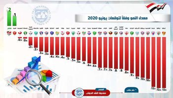 تقرير النقد الدولي 