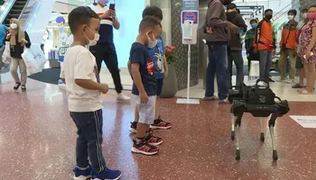 روبوت على شكل كلب يساعد في تعقيم اليدين