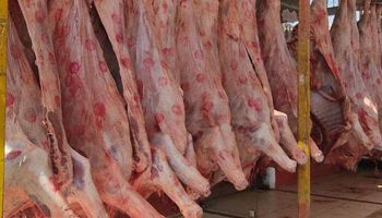 ضبط 5 محال تبيع اللحوم المستوردة بالغش على انها بلدى
