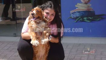 طالبة تحتفل مع الكلب الخاص بها آخر ايام الامتحانات بمدرسة جمال عبد الناصر " صور" 