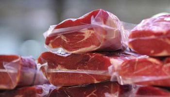 مدة تخزين اللحوم في الثلاجة 