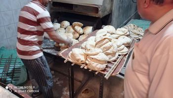 جولات لمتابعة تطبيق منظومة الخبز الجديدة بالإسكندرية