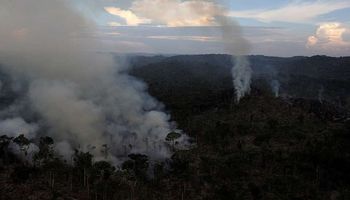 حرائق غابات الأمازون (أرشيفية)