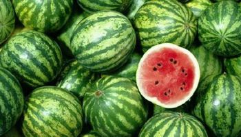  حقيقة انتشار البطيخ مسمم في الأسواق