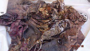جثة الطفلة المقطعة عقب العثور عليها بعد 5 أشهر 