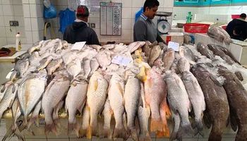أسعار  السمك