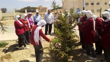 اساليب زراعية حديثة في التدريب الصيفي لطلاب الزراعة المطرية بمطروح 