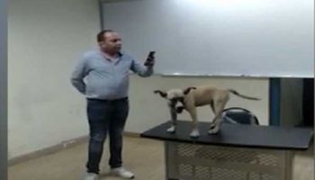 مدرس علم نفس يستخدم الكلاب في الشرح