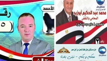 بالأرقام.. فوز أبو زيد وعبد الستار ومحمد مصطفي في مؤشرات لجان دائرة ملوي بالمنيا