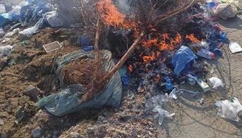 حرق النفايات الطبية بالقرب من الوحدات السكنية ببورسعيد