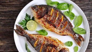 فوائد الأسماك في فقدان الدهون