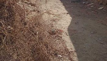 مقابر الموتى بالفشن 