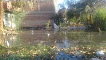 مياه الري تغرق منازل أهالي قرية في قنا 