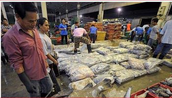 سوق الاسماك في تايلاندا