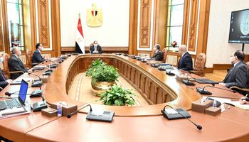 اجتماع الرئيس السيسي بالوزراء من أجل مشروع تطوير الريف المصري