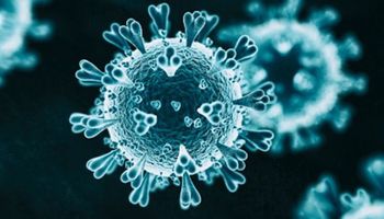 تأثير فيروس كورونا على أعضاء الجسم