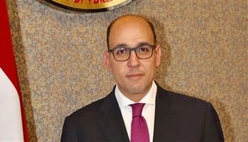 السفير أحمد حافظ، المتحدث الرسمي باسم وزارة الخارجية