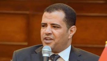 النائب مصطفى الكحيلى، عضو مجلس الشيوخ