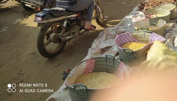 سوق شوني قنبلة موقوتة يهدد حياة المواطنين بالغربية
