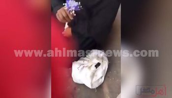 طالب يوزع الورود على العاملات بالأسواق في قنا