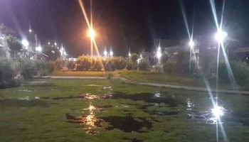 مجلس مدينة أسوان يغرق الحدائق والمتنزهات