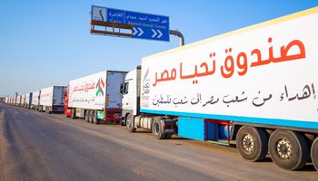 130 شاحنة من قافلة "تحيا مصر" في طريقها إلى الأراضي الفلسطينية