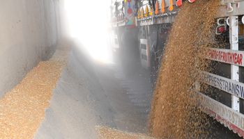 رفض استلام ألفين طن من محصول القمح بصوامع قنا