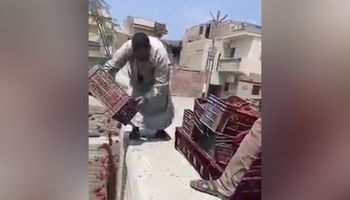 مواطن يلقي محصول الطماطم بأحد المصارف بالشرقية