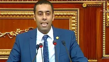 النائب أحمد فرغل