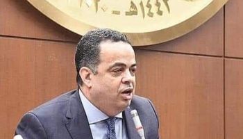 عصام عفيفي عضو مجلس الشيوخ
