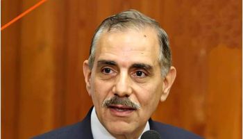 محافظ كفر الشيخ