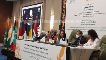 مايا مرسي خلال المائدة المستديرة لمنظمة تنمية المرأة
