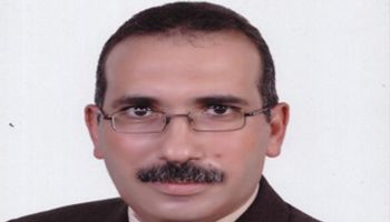 الدكتور عادل عامر الخبير الاقتصادى