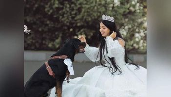 هبة مبروك تتزوج كلب 