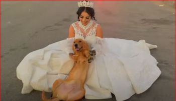 هبة مبروك تتزوج من كلب 