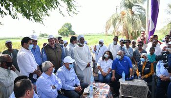 وزير الزراعة ومحافظ الأقصر يتفقدان الأنشطة الزراعية بقرية البغدادي