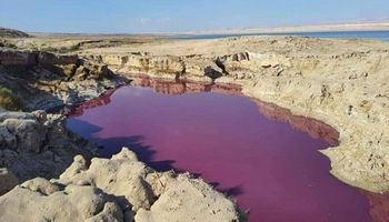 ظهور مياه حمراء اللون غامضة قرب البحر الميت