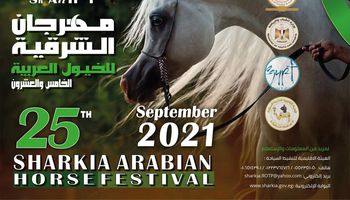 مهرجان الخيول العربية 