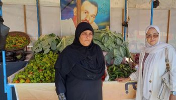 «الإيد الشقيانة».. الحاجة صفية 20 عامًا بائعة خضار في بورسعيد