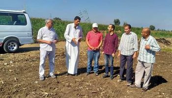زراعة كفرالشيخ: حملة لمتابعة وتجهيز الحقول الإرشادية لمحصول القمح 