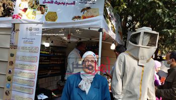 الدكتورة نجلاء الأحمدي، مدير معهد بحوث النحل