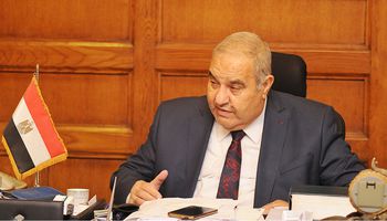 رئيس المحكمة الدستورية العليا المستشار سعيد مرعي