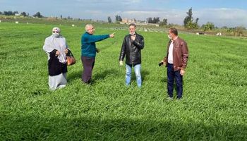 محافظ كفر الشيخ: المحافظة  تسعى لتذليل كافة العقبات التي تواجه المزارعين 