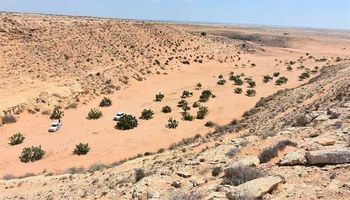 الاستفادة من تخزين مياه الأمطار بصحراء مطروح 