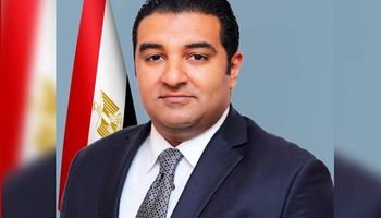 محمود عصام عضو مجلس النواب