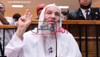 الشيخ محمد حسان أمام المحكمة