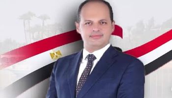 النائب دكتور احمد عبد الماجد الاحمر